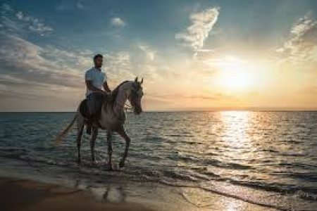 Horseback Riding Adventure: Salman Bay Beach Experience