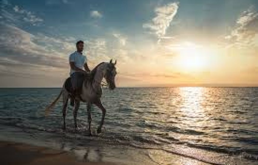 Horseback Riding Adventure: Salman Bay Beach Experience