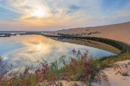 Al-Asfar Lake: The Emerald Jewel of the Eastern Desert