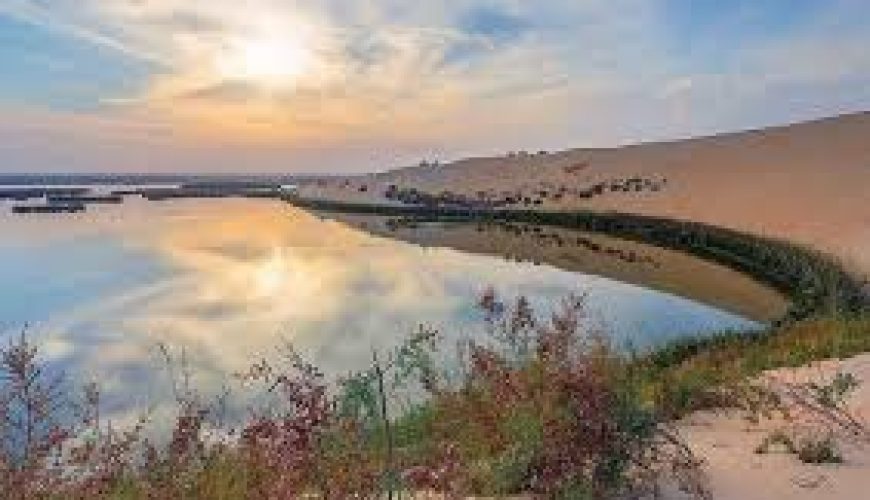 Al-Asfar Lake: The Emerald Jewel of the Eastern Desert