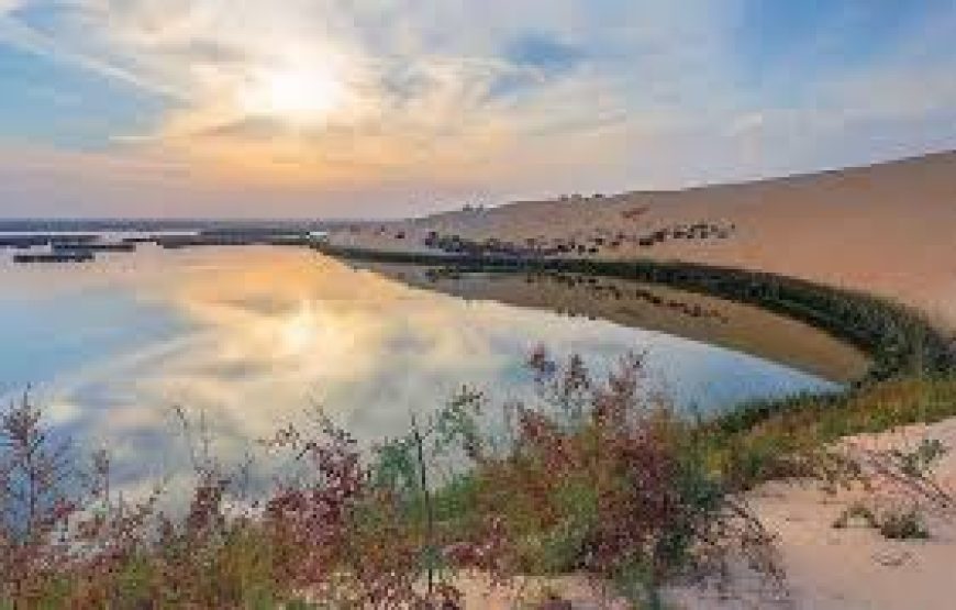 Al-Asfar Lake: The Emerald Jewel of the Eastern Desert